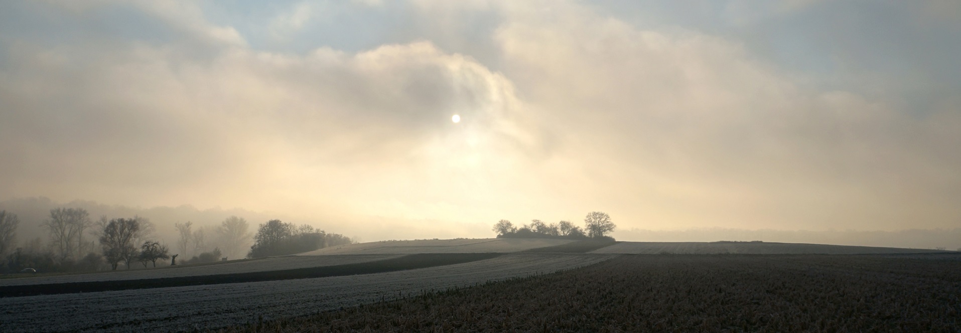 Header für Ausstellung Gewanne - Das Gedächtnis der Landschaft