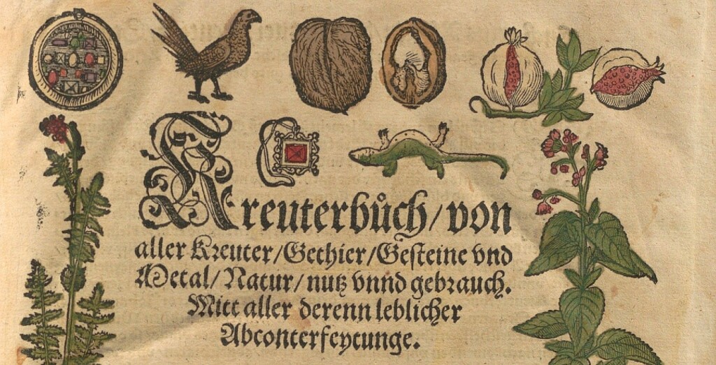 Kräuterbuch Eustachius Rößlin (Quelle: HZAN GA 120 Nr. 7)