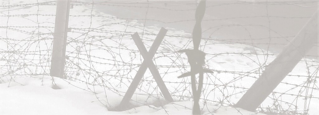 Stacheldrahtzaun_Schnee_dunkler_Header