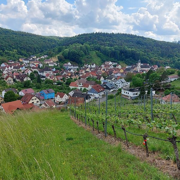 Oberlauda (Foto: Kreisarchiv)