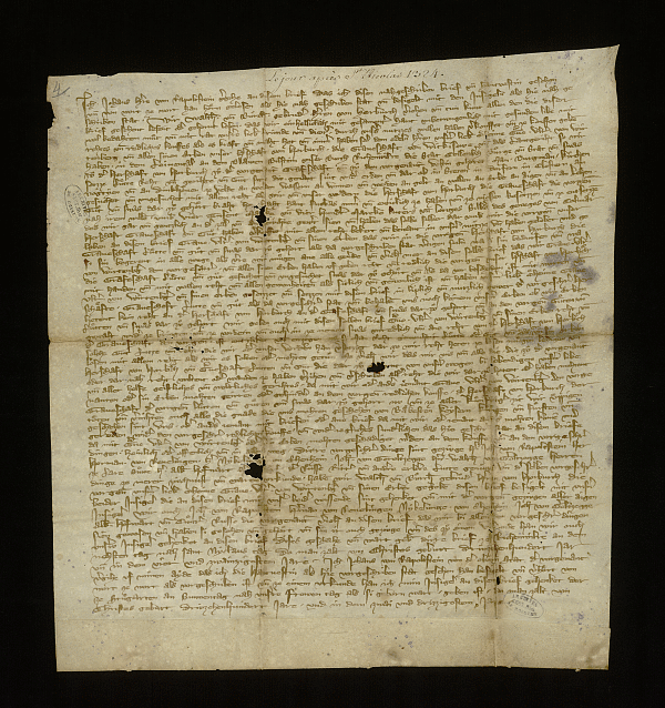 In der Urkunde von 1332 wird der Verkauf einiger Territorien,darunter Horburg und Reichenweier, dokumentiert. 